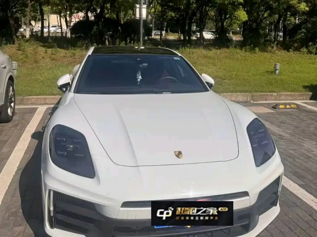 Porsche Panamera 2025 2024 Panamera 2.9T