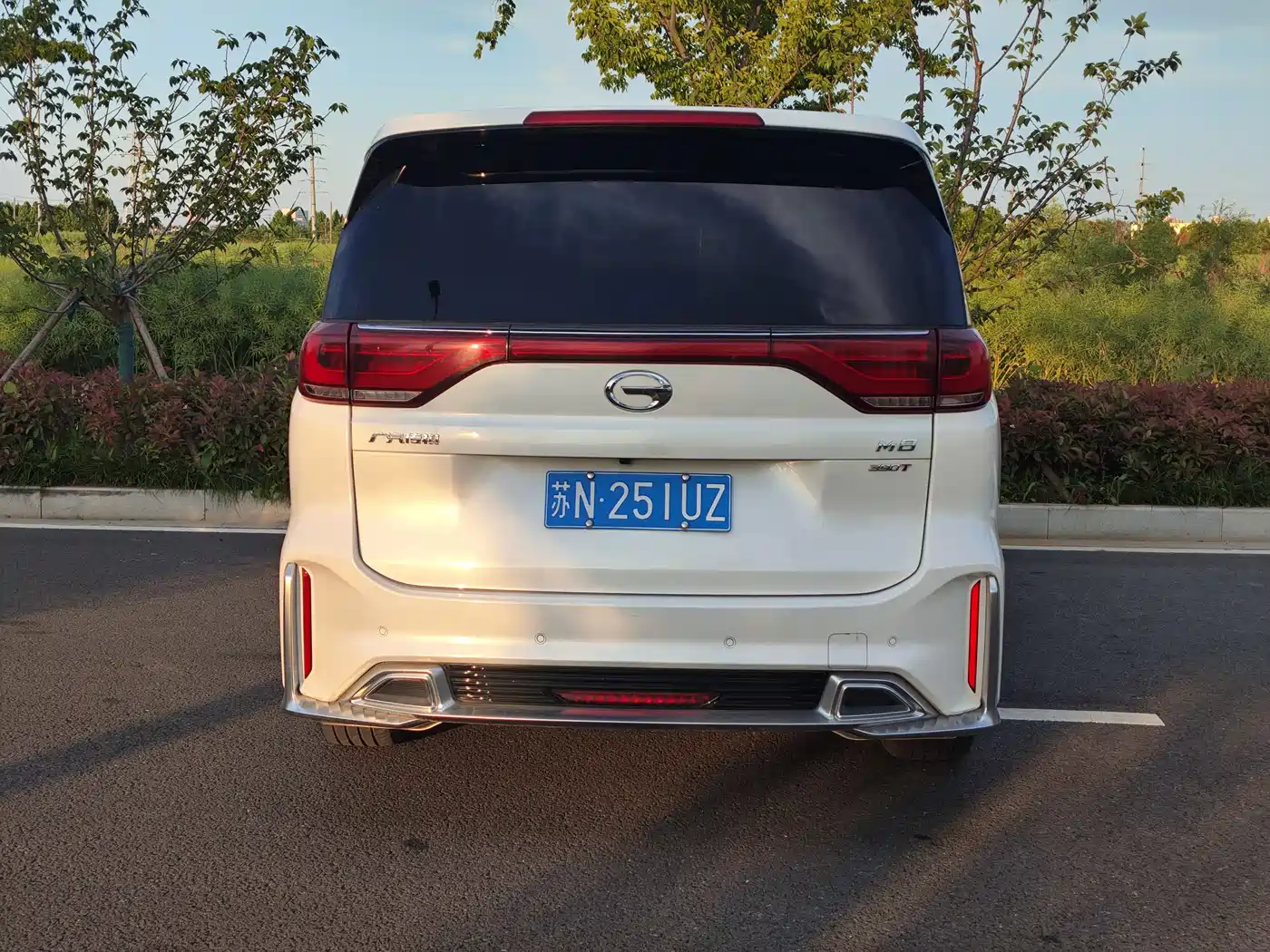 GAC Trumpchi Trumpchi M8 2021 Master Series 390T Prestige Edition фото 5
