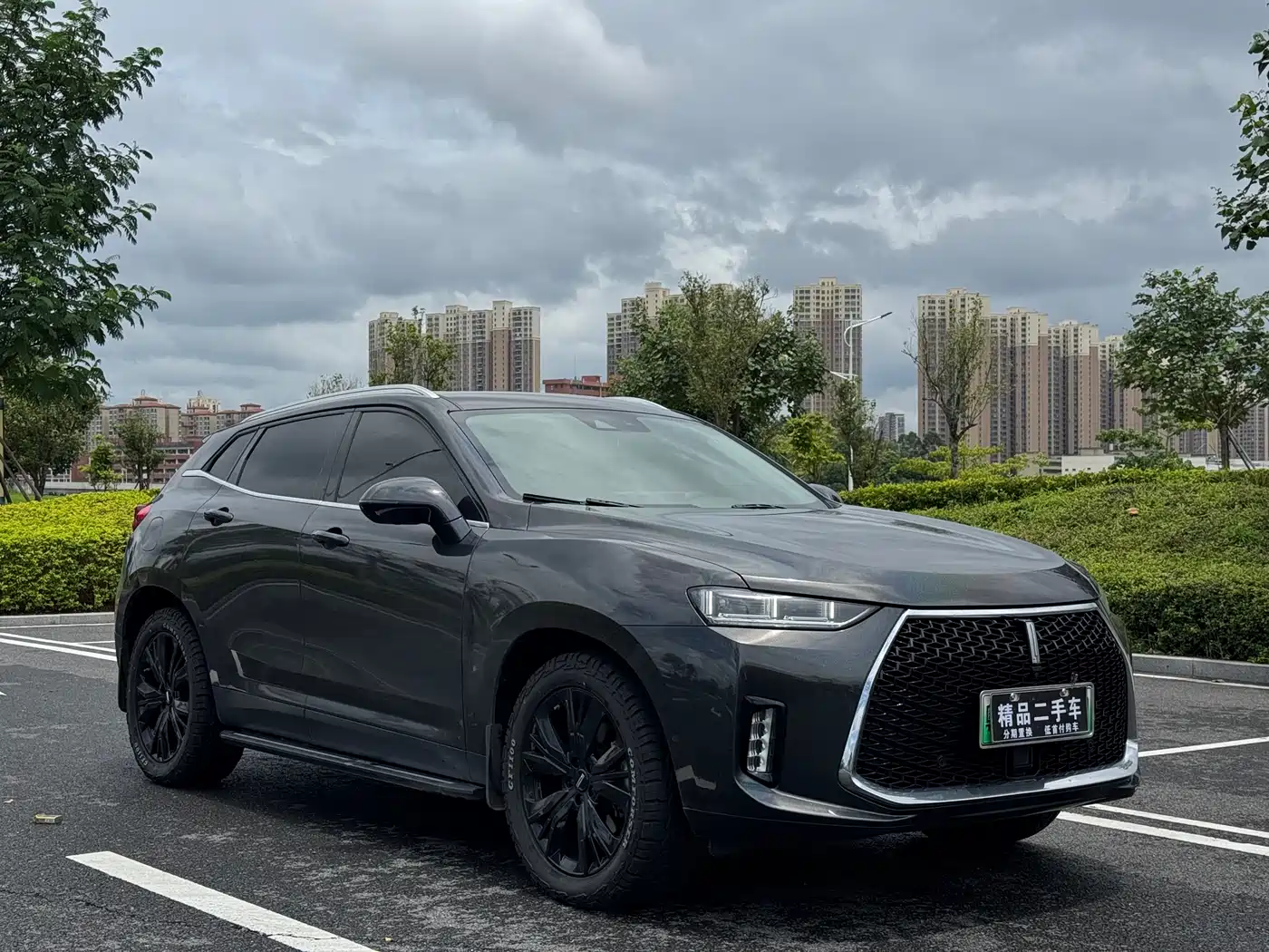 WEY P8 2018 2018 2.0T Flagship Model