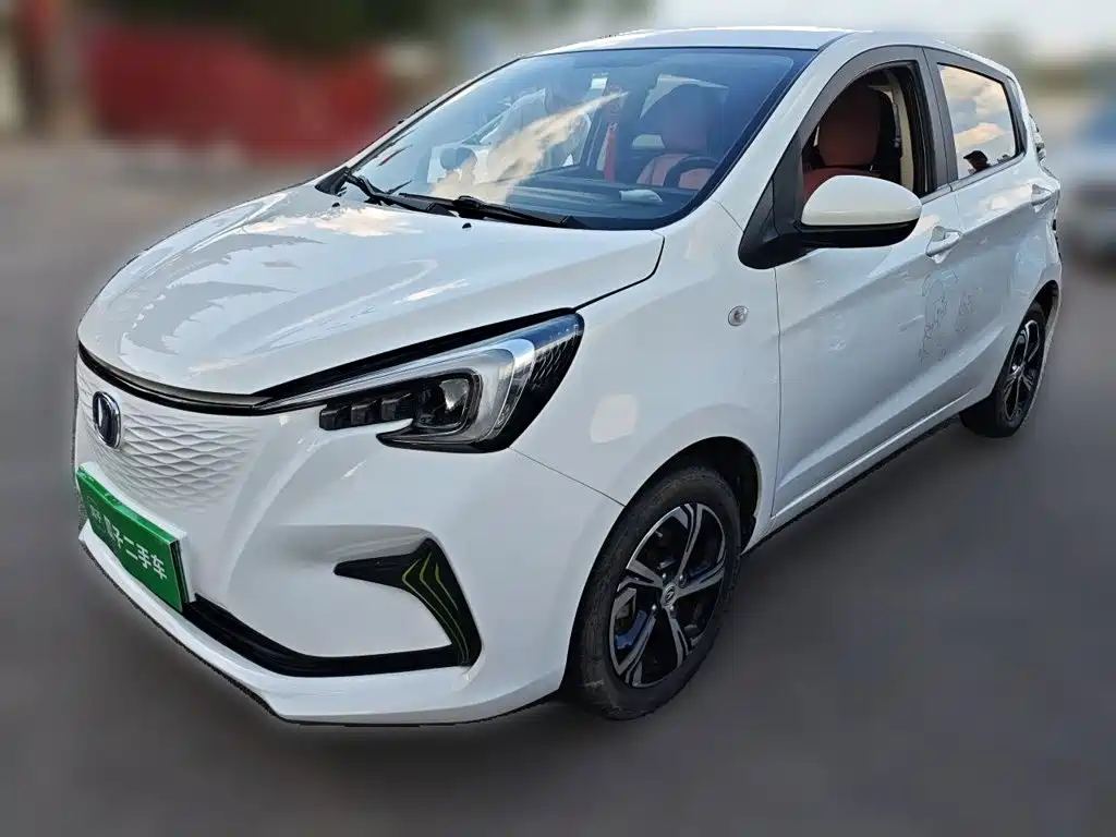 Changan Benben E-Star 2020 2020 Heartbeat Edition (NMC Battery)