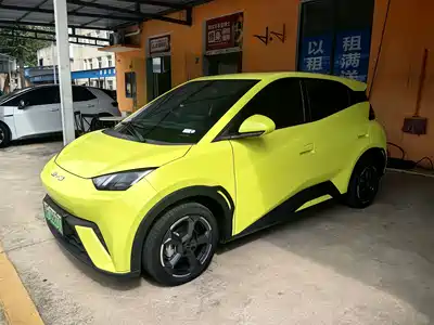 BYD Seagull