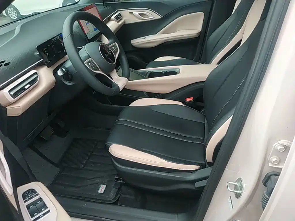 BYD Seagull 2026 2025 Smart Drive Edition 305km Vitality Version