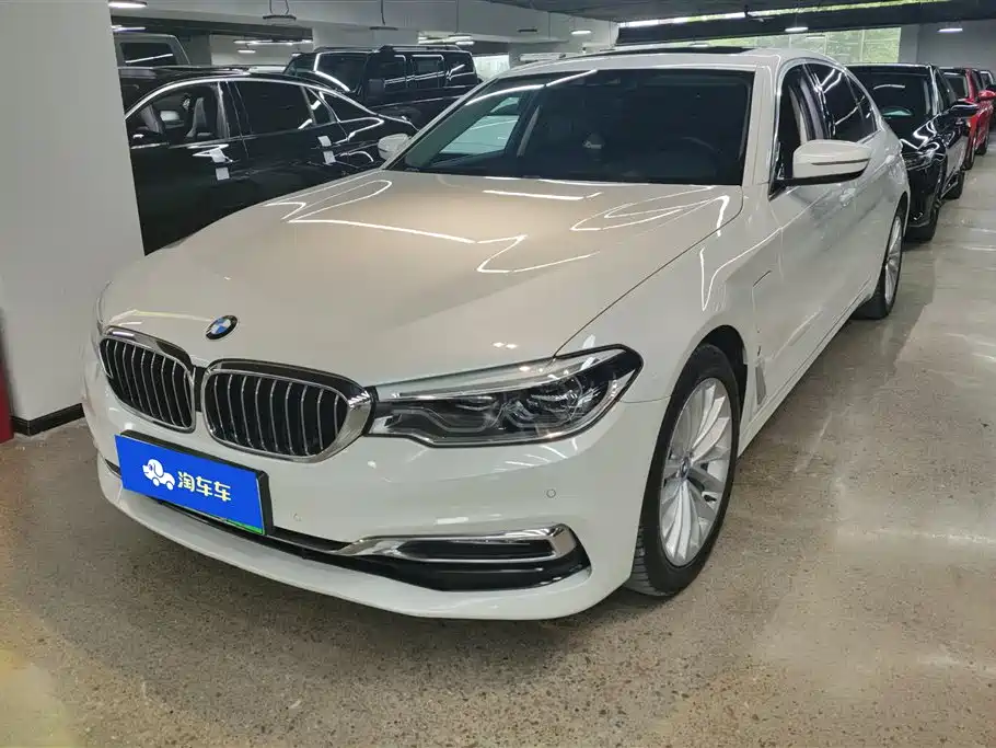 BMW 5 Series New Energy 2019 530Le Luxury Package