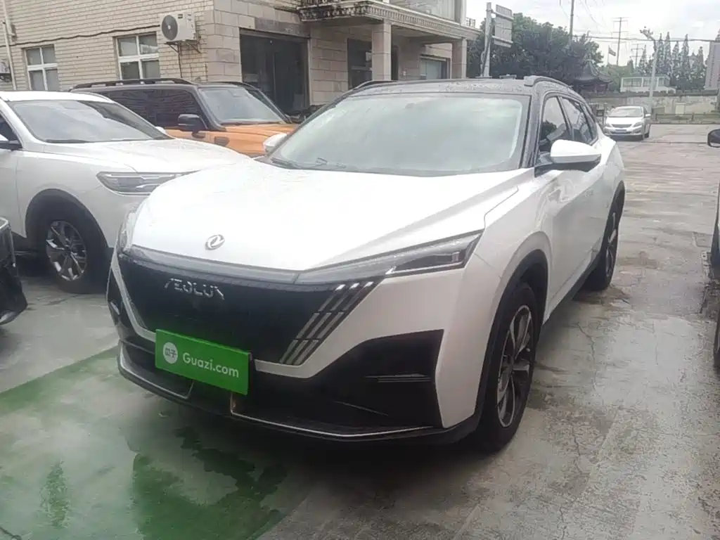 2024 Dongfeng Aeolus Haohan