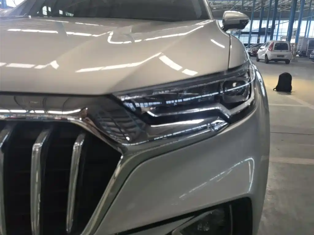 Hongqi HS5 2019 2.0T Smart Connect Enjoy Edition фото 15