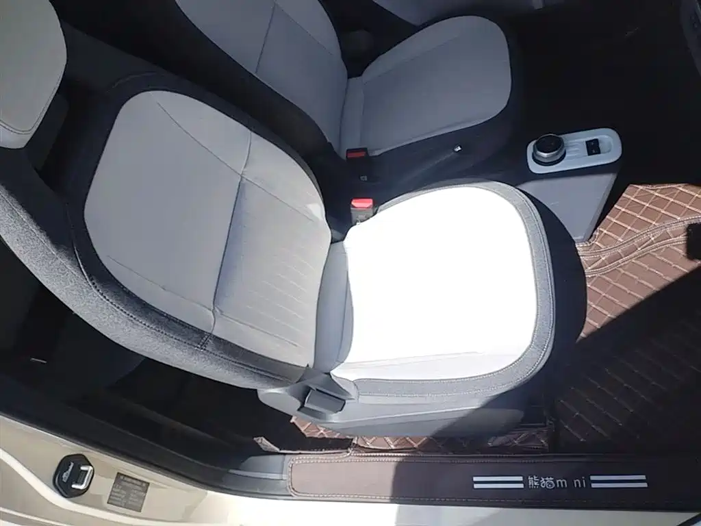 Geely Galaxy Panda 2025 Panda mini 210km Vitality Bear фото 25