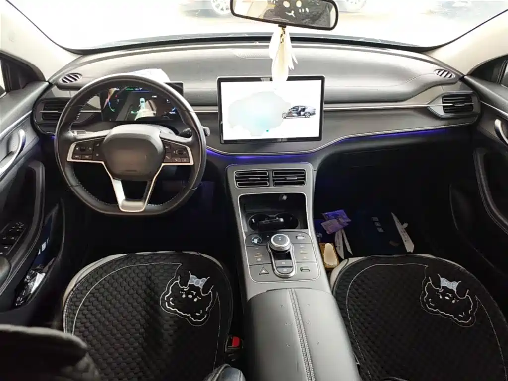 BYD Destroyer 05 2023 Champion Edition DM-i 55KM Luxury фото 10