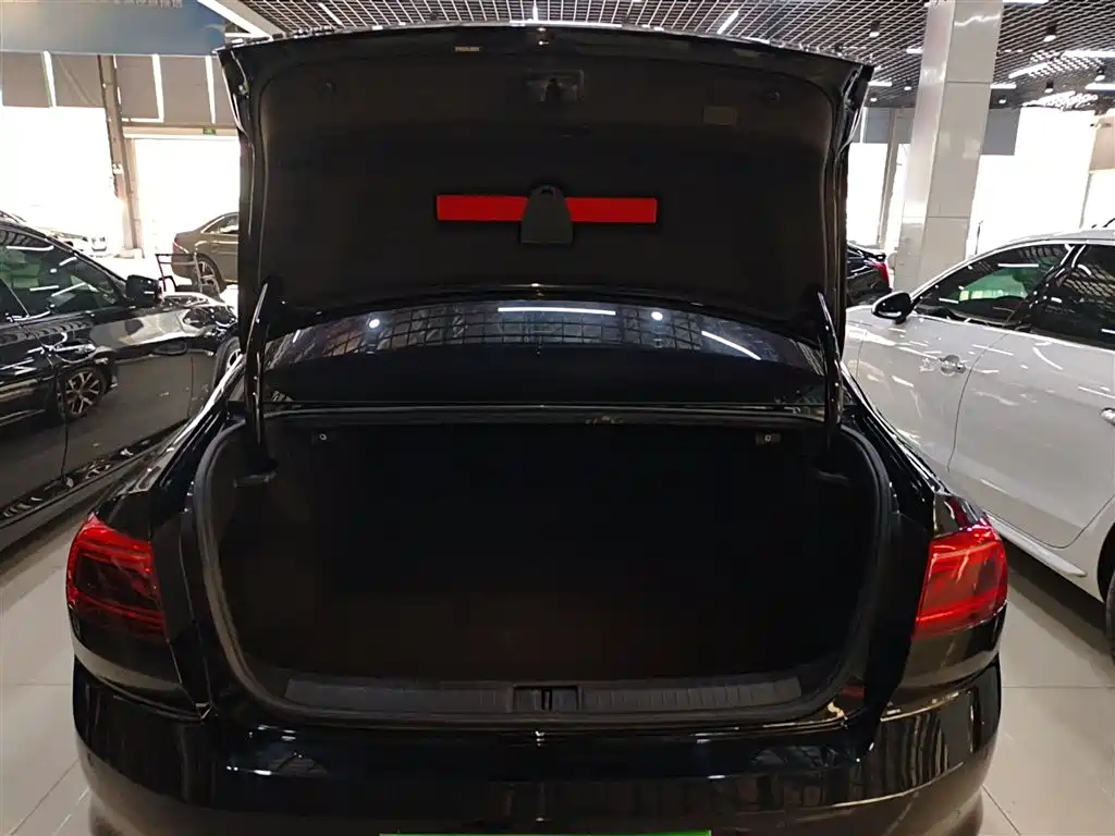Volkswagen Magotan 2020 330TSI DSG Leading фото 15