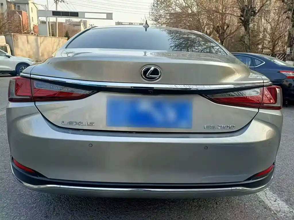 Lexus ES 2021 200 Excellence Edition фото 12