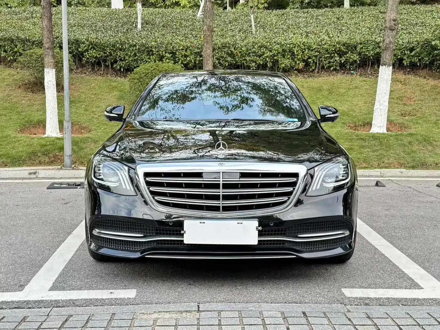 Mercedes-Benz S-Class 2019 S 450 L фото 3