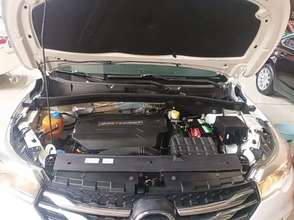 GAC Trumpchi Trumpchi GS4 2017 235T Automatic 2WD Luxury Smart Connected Edition фото 20