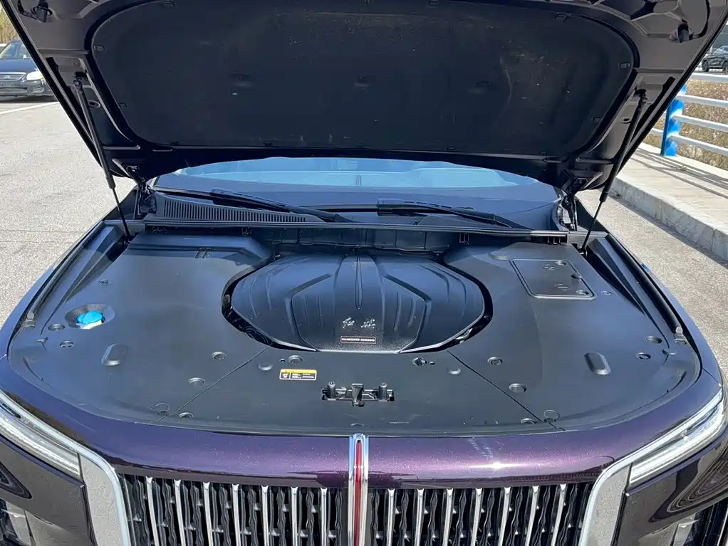 Hongqi H9 2021 2020 2.0T Smart Connection Qi Xiang Edition
