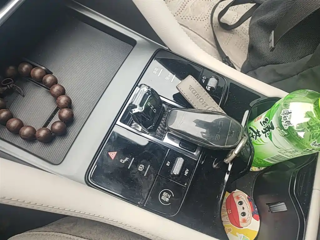 BYD Song PLUS PHEV 2025 DM-i 112KM Honor фото 14