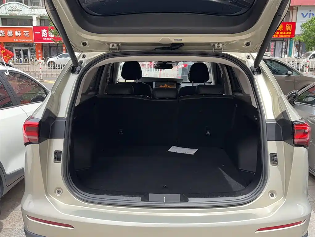Haval H6 2024 1.5T 2WD Ultra фото 15