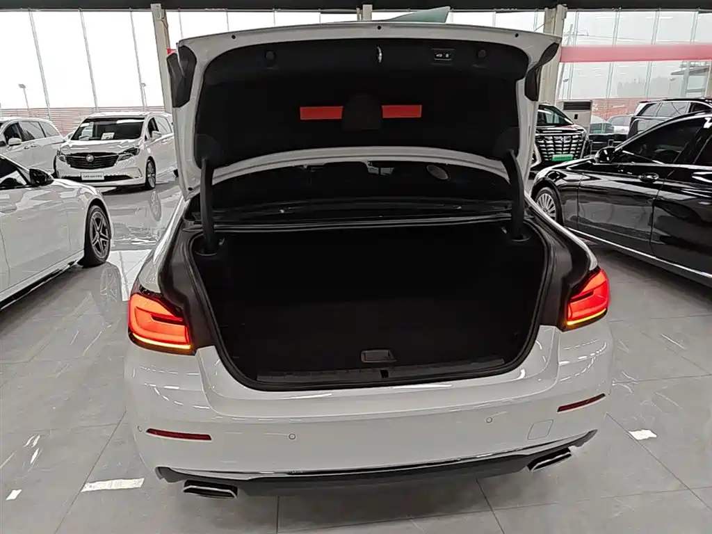 BMW 5 SERIES NEW ENERGY