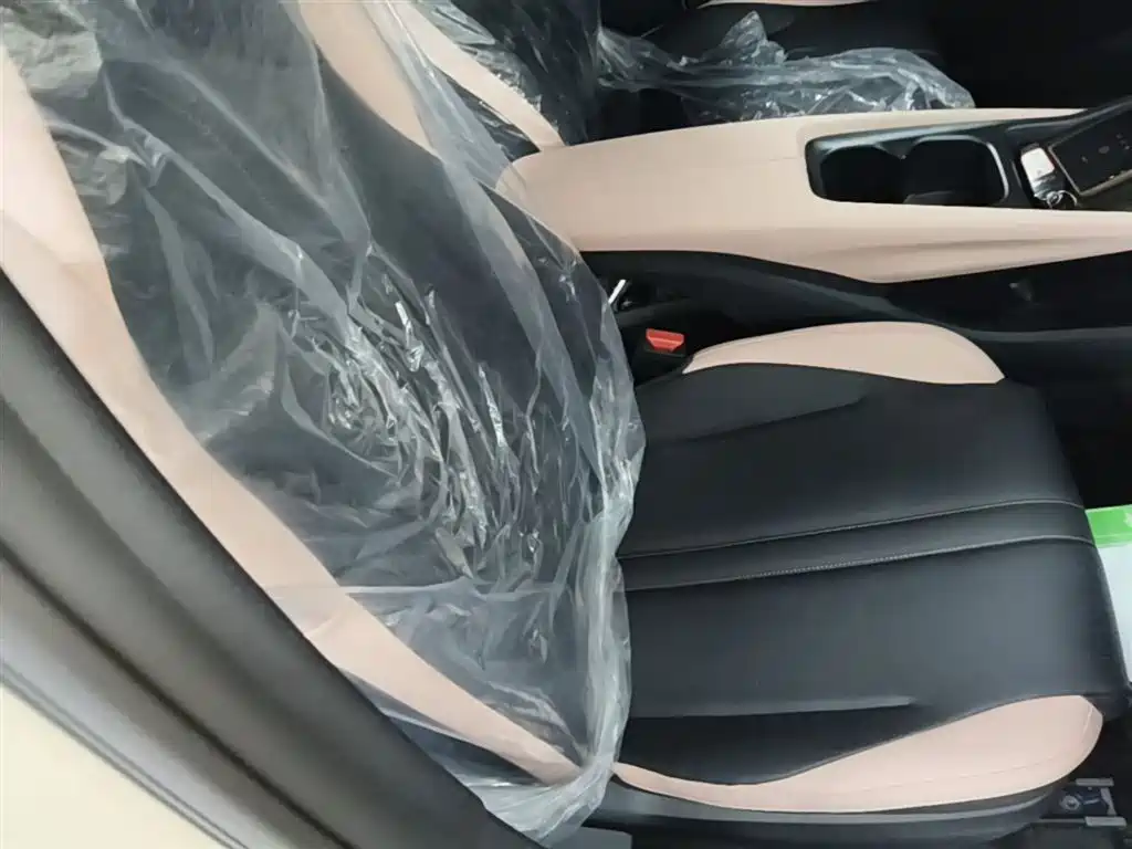BYD Seagull 2025 Smart Drive Edition 305km Vitality Version фото 25