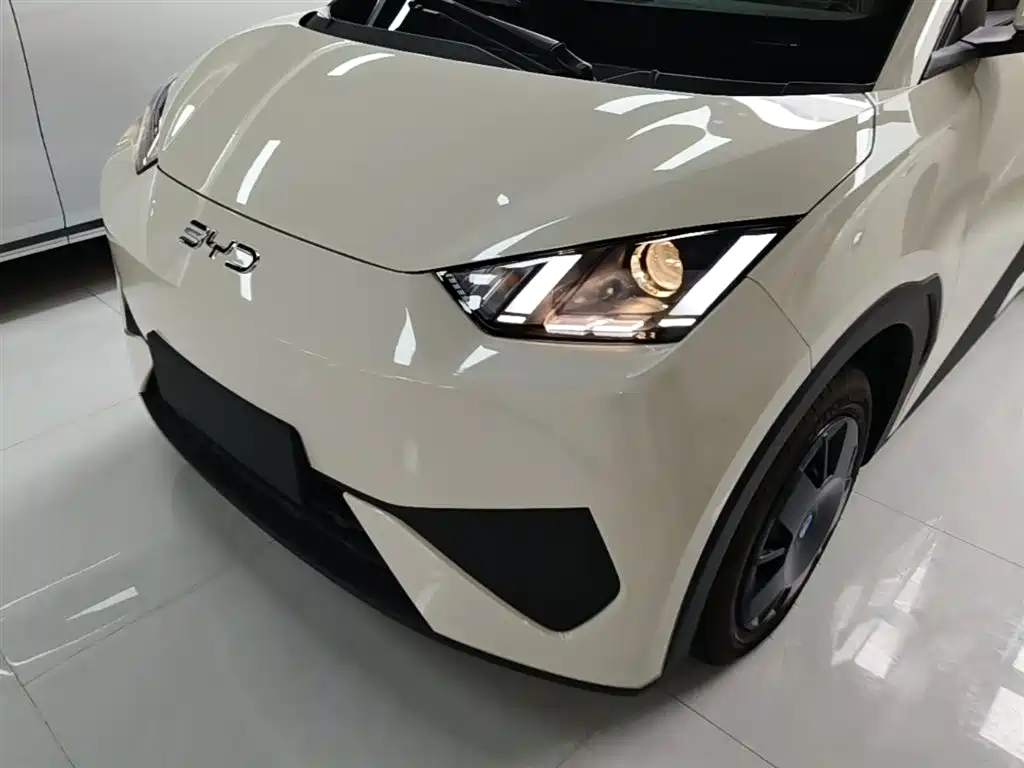 BYD Seagull 2025 Smart Drive Edition 305km Vitality Version фото 24