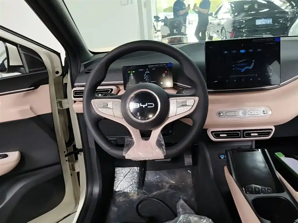 BYD Seagull 2025 Smart Drive Edition 305km Vitality Version фото 11