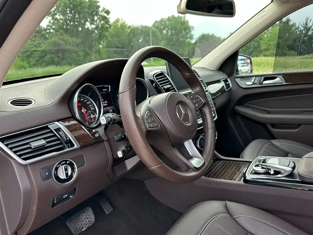 Mercedes-Benz GLS 2019 GLS 400 4MATIC Dynamic Collector's Edition фото 14