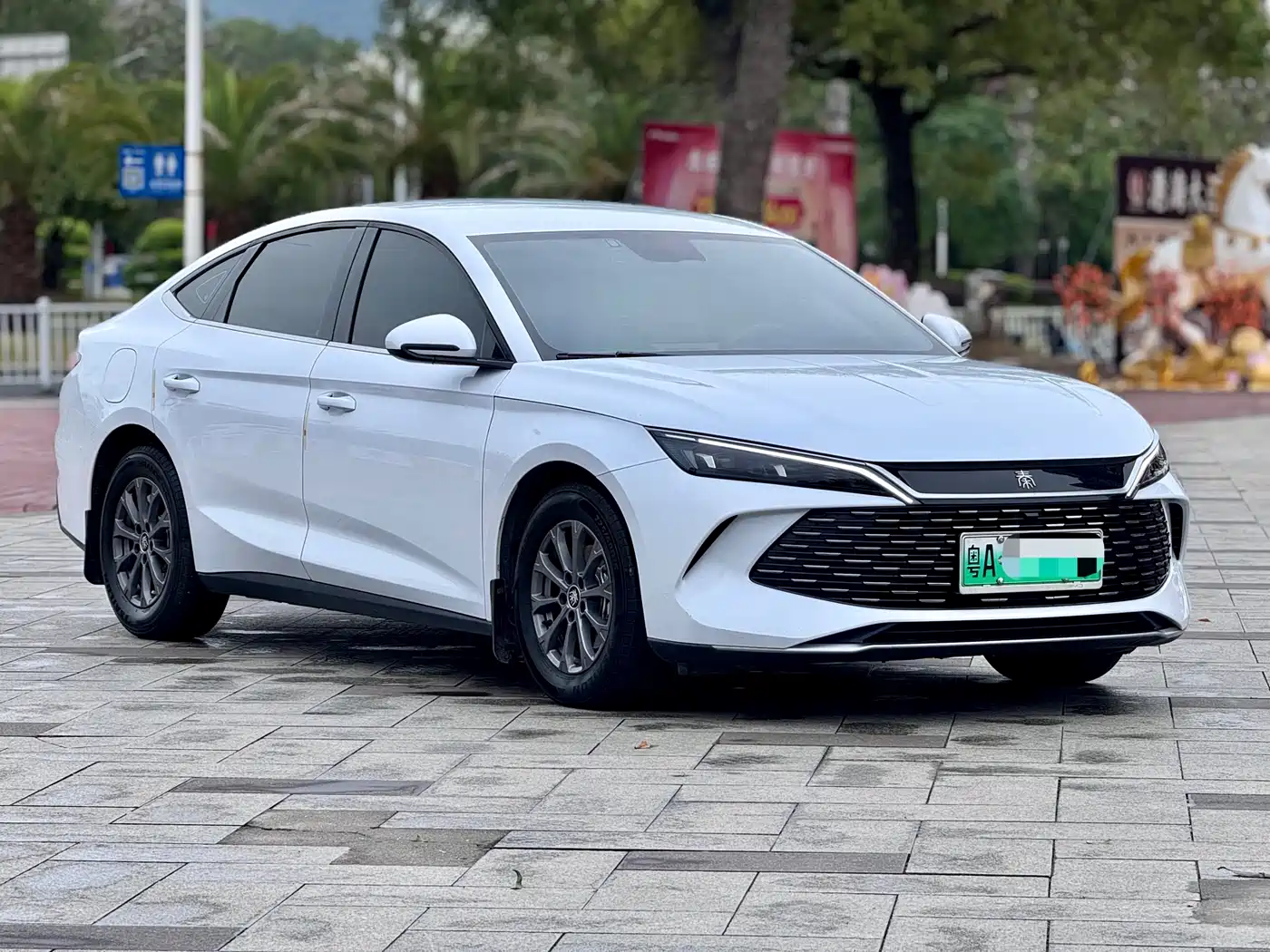 BYD QIN L