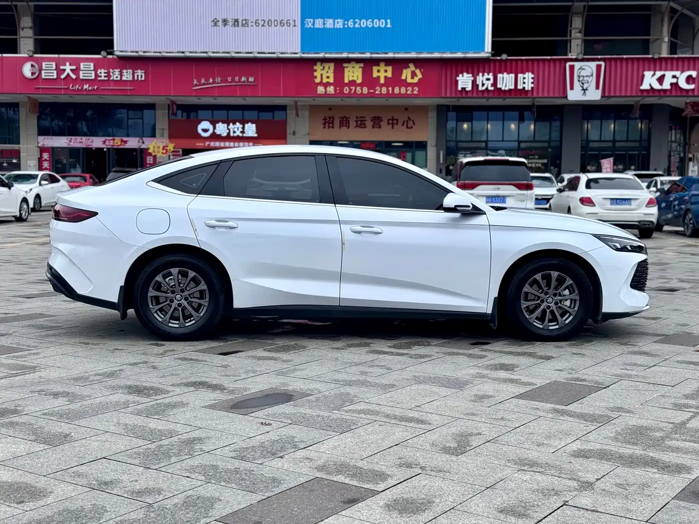 BYD QIN L