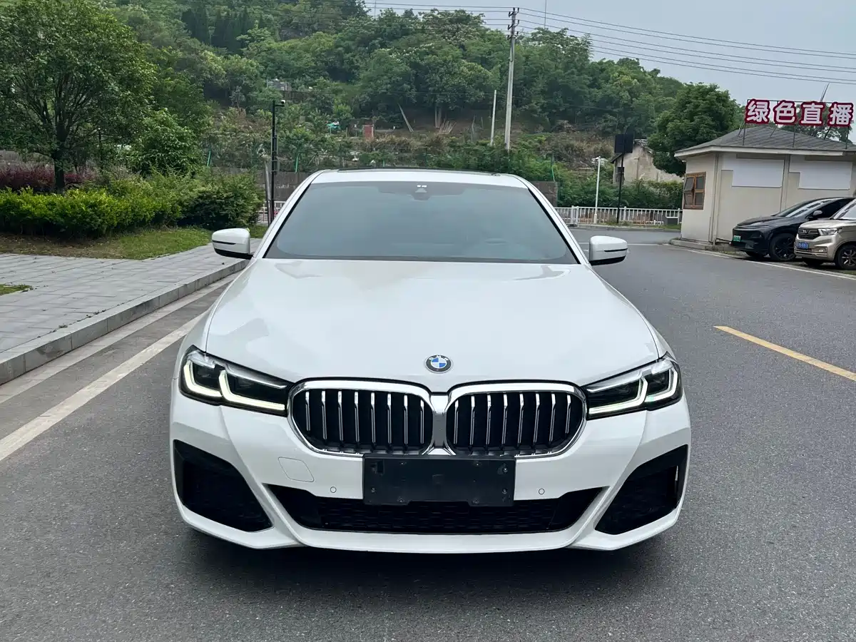 BMW 5 Series (Import) 2021 525i M Sport Package фото 2
