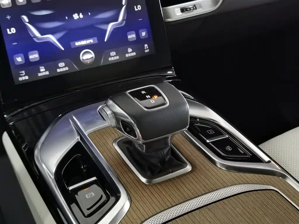 Hongqi E-HS9 2021 510km Flagship Edition 4-seater фото 13
