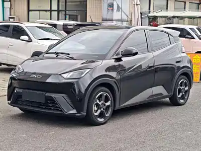 BYD Seagull
