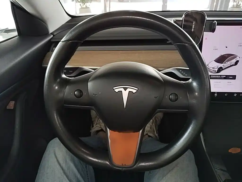 Фото 11 - Tesla Model 3 (Import)