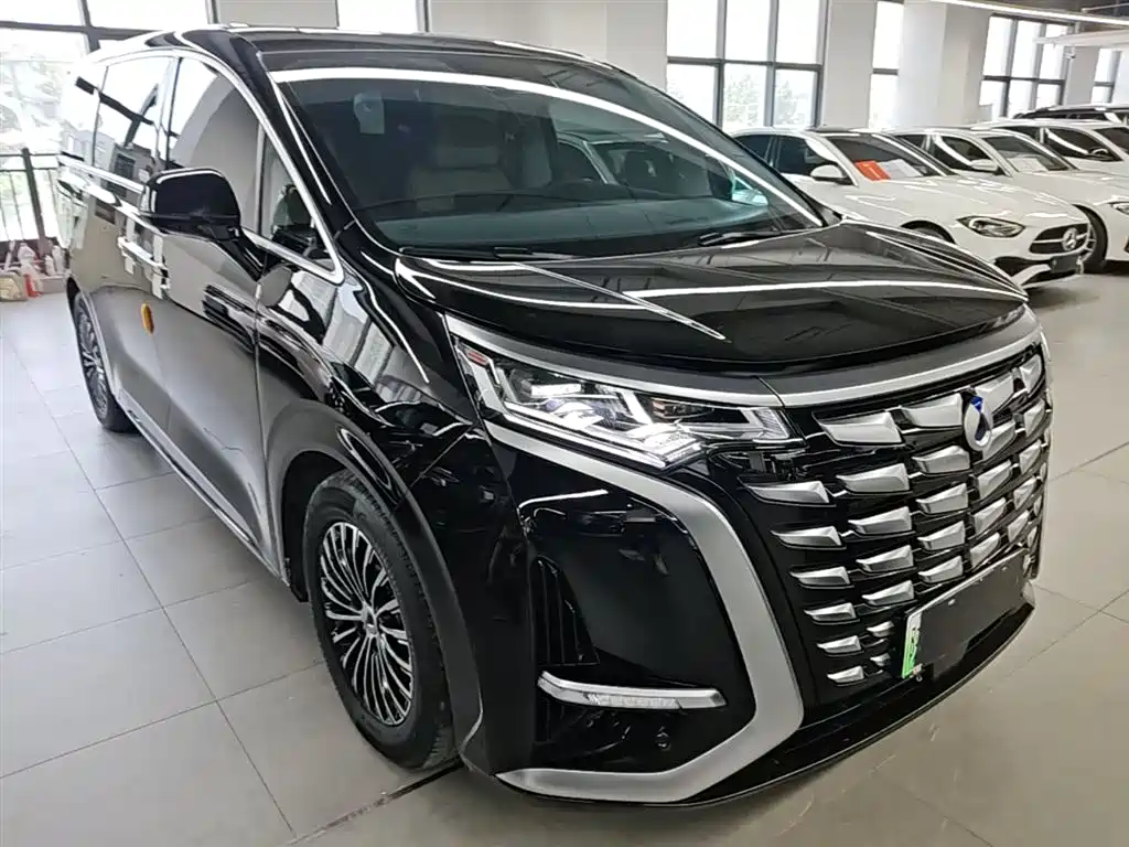 Denza D9 2024 DM-i 980 AWD Premium фото 4