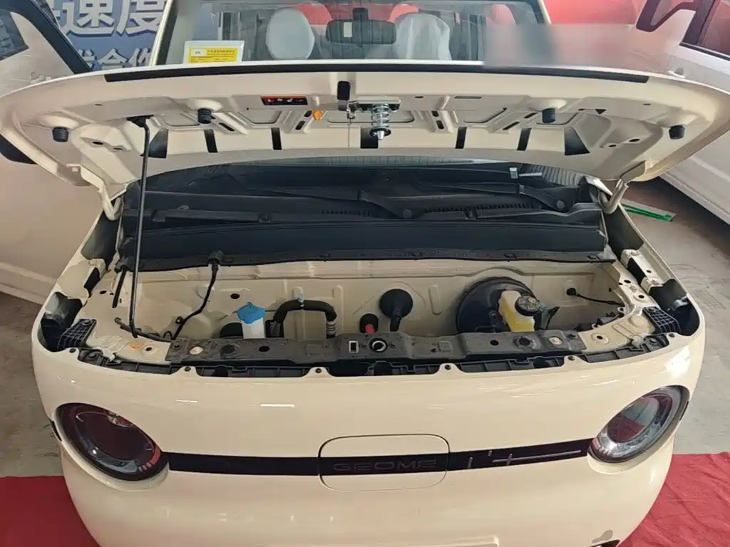 Geely Galaxy Panda 2026 2025 Panda mini 210km Vitality Bear