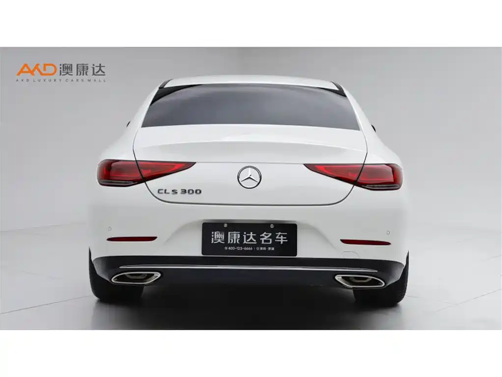 Mercedes-Benz CLS 2018 CLS 300 Dynamic фото 4