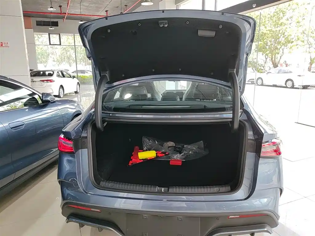 BYD Seal 06 New Energy 2024 DM-i 120KM Premium фото 19