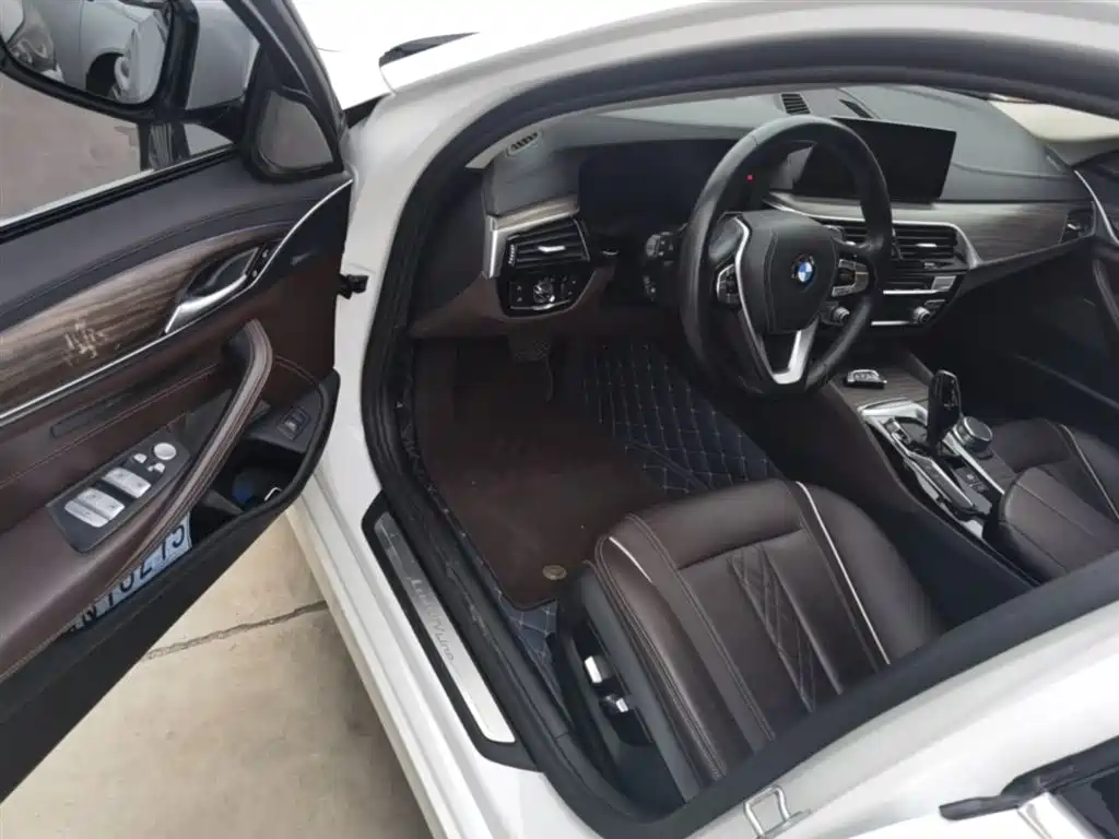 BMW 5 Series 2019 530Li Premium Luxury Package фото 16