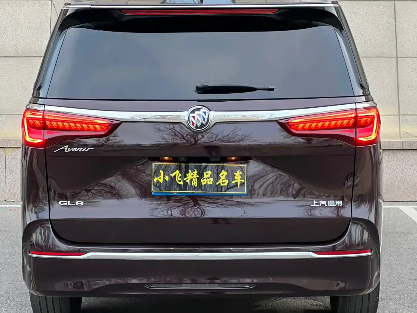 Buick GL8 2021 Avenir Aivia 6-Seater Elite Edition фото 6