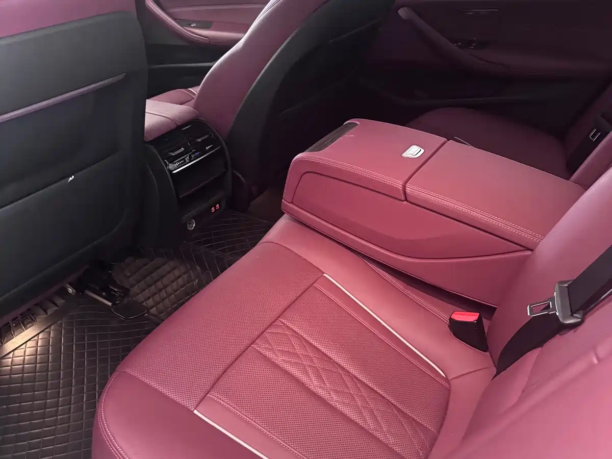 BMW 5 Series 2021 Facelift 530Li xDrive M Sport Package фото 15