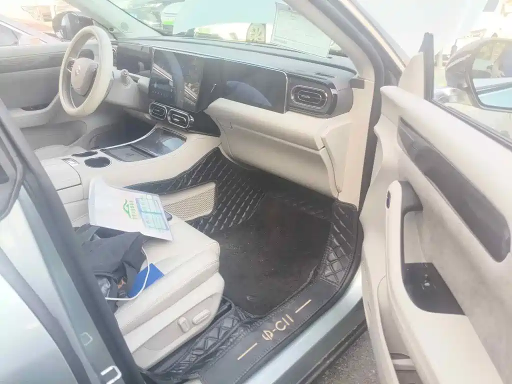 Leapmotor C11 2022 2021 Model Premium Edition