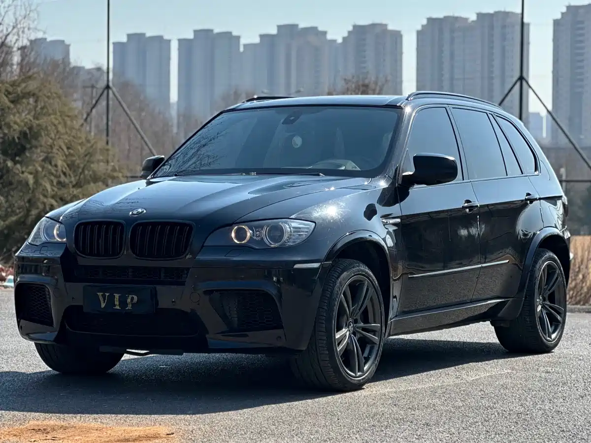 BMW X5 (Import) 2010 X5 M