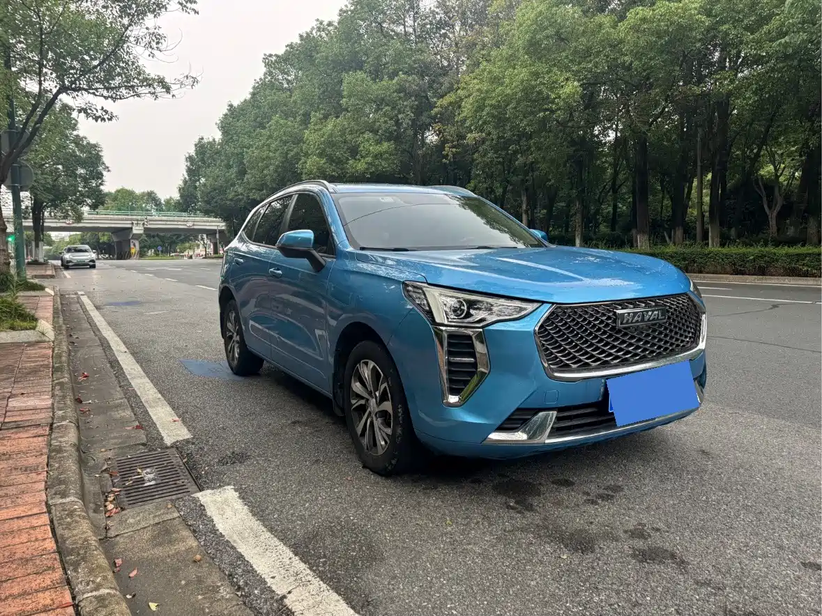 Haval First Love 2021 2021 1.5T Automatic Premium Edition
