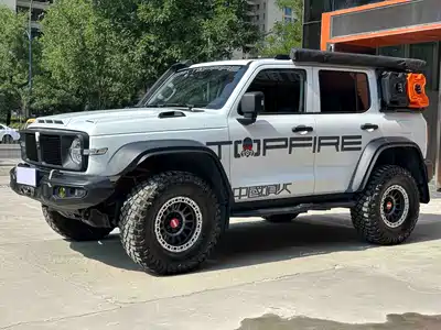 Tank 300