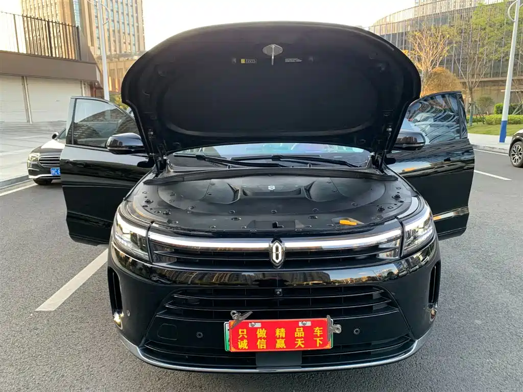 AITO Wenjie AITO M7 2024 1.5T Smart AWD Max Edition 5-Seater фото 17