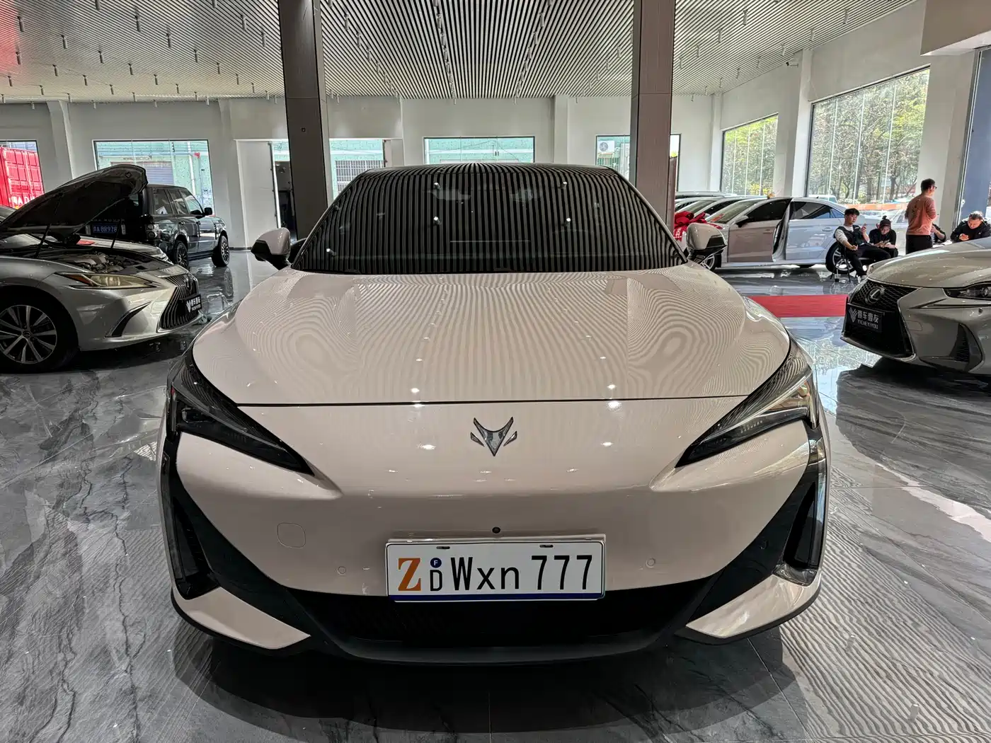 ARCFOX EXTREME FOX POLAR FOX ALPHA S5