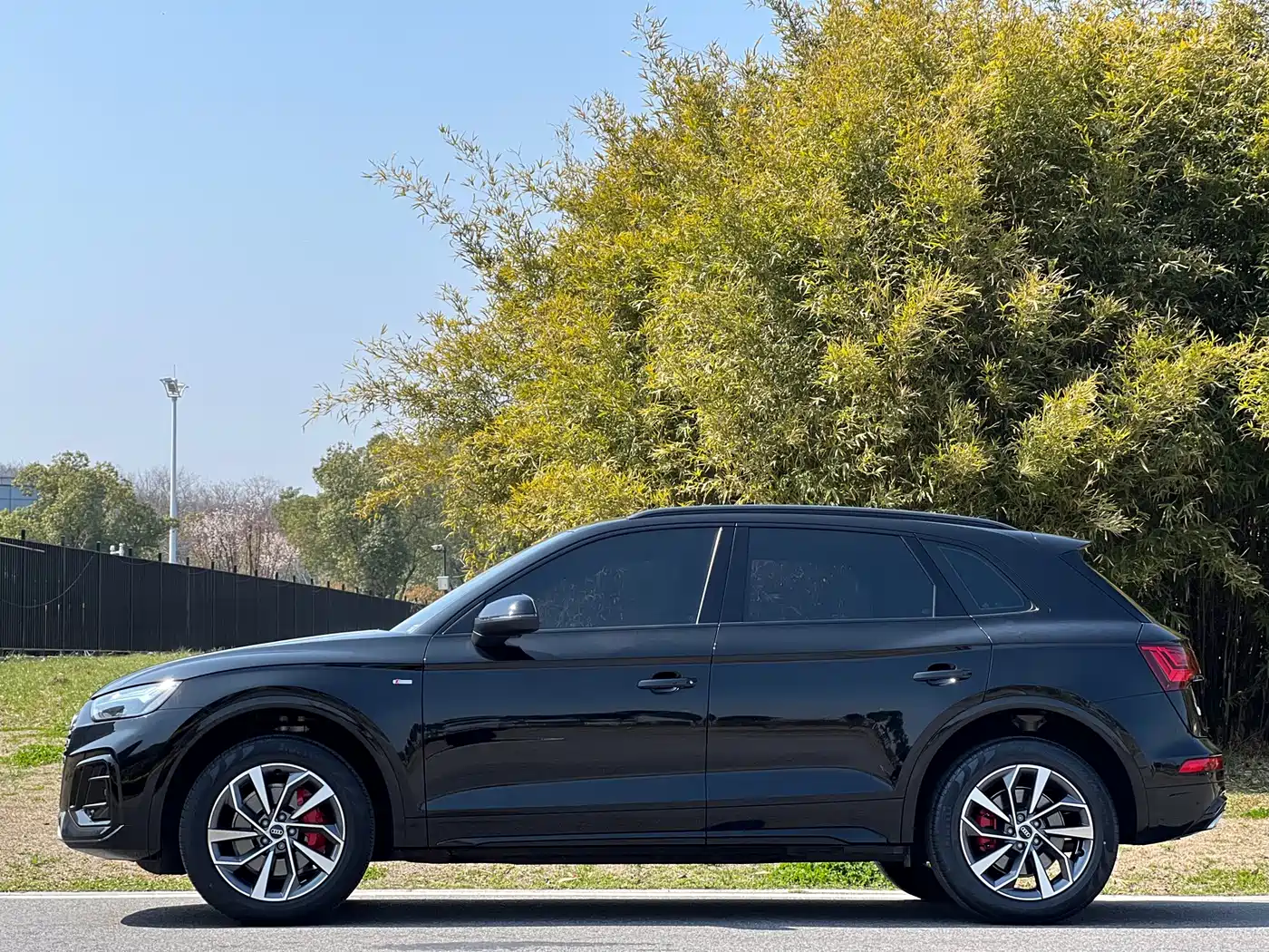 Audi Q5L 2024 Model 40 TFSI Luxury Dynamic фото 4