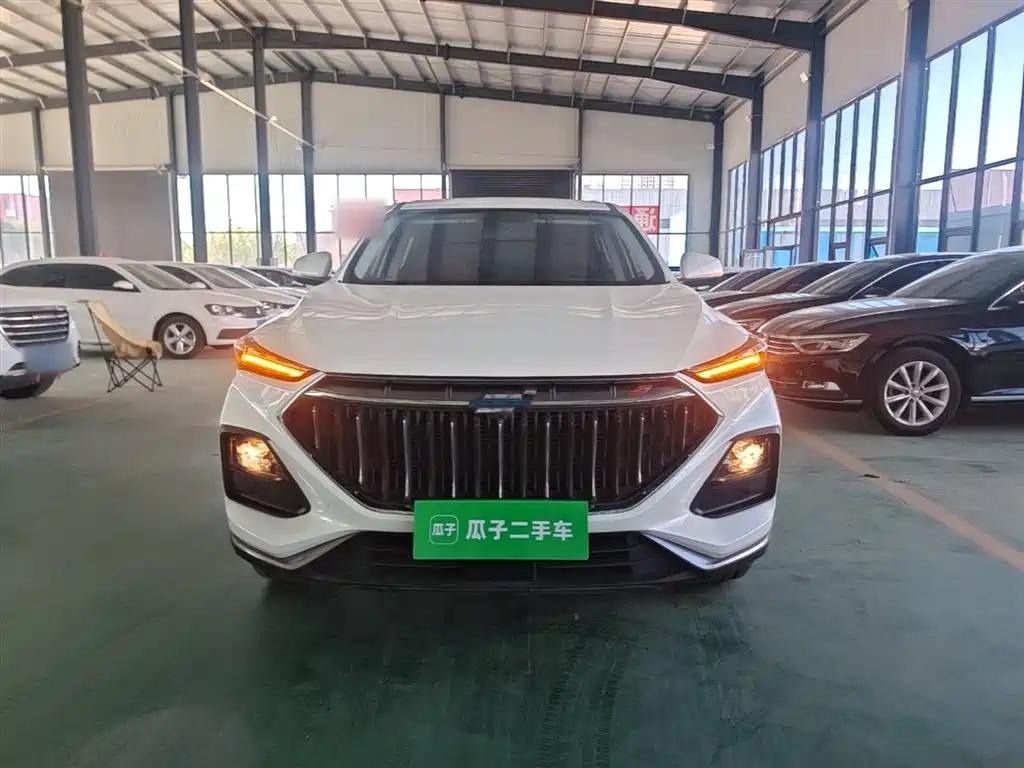 Фото 3 - Changan Oshan Changan Oushang X5