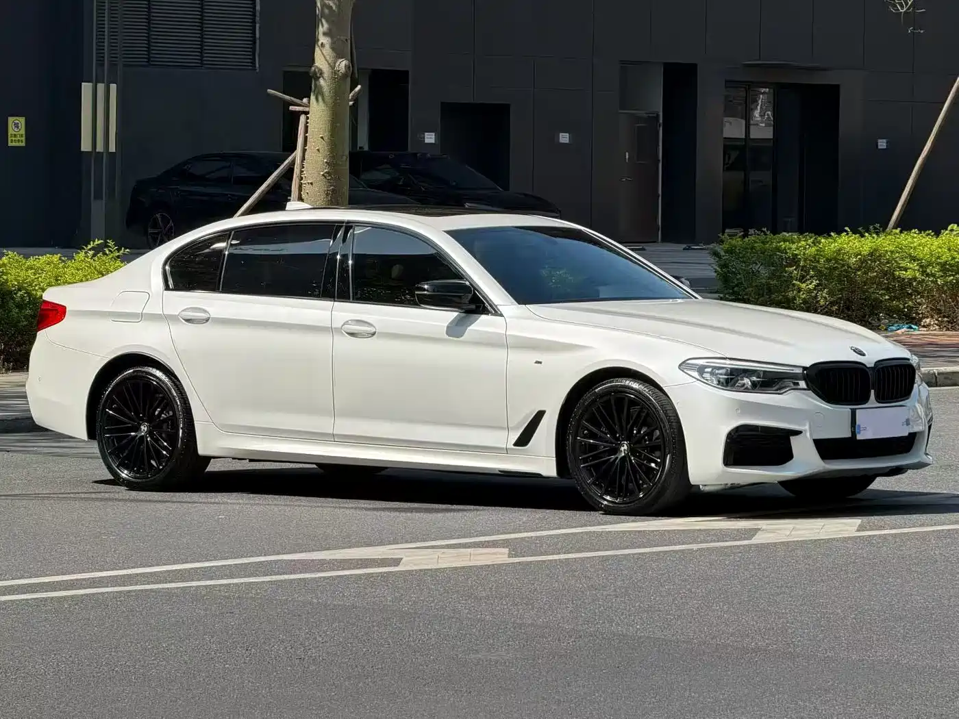 BMW 5 Series 2019 530Li Leading M Sport Package фото 3