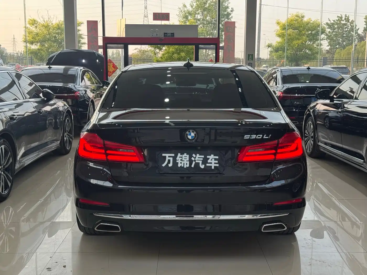 BMW 5 Series 2020 530Li Leading Luxury Package фото 5