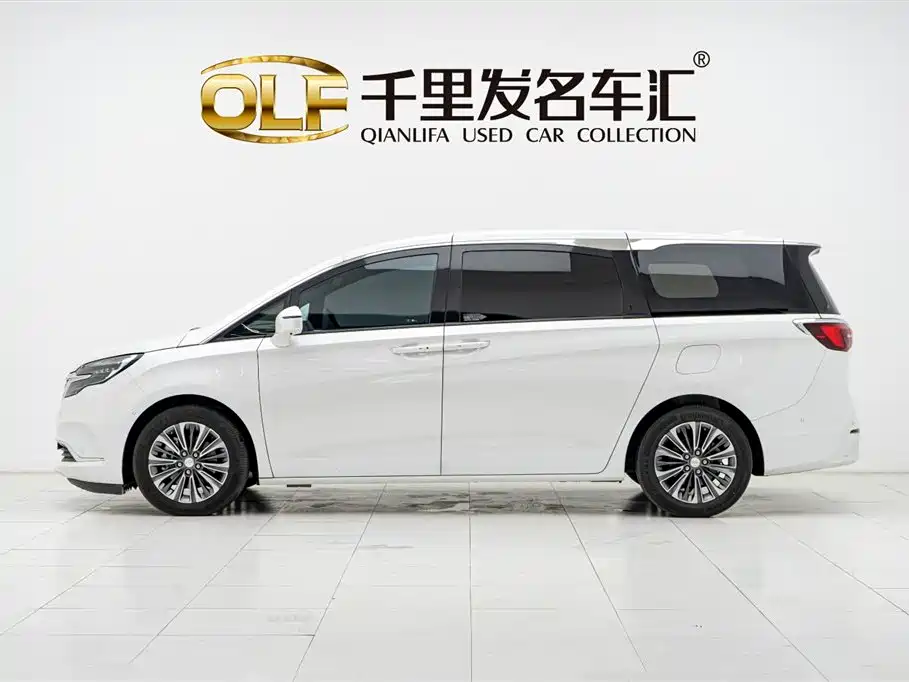 Buick GL8 2022 ES Landmark 653T Luxury фото 7