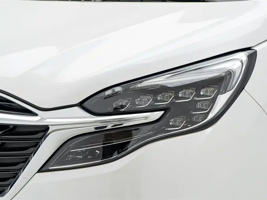 Buick GL8 2022 ES Landmark 653T Luxury фото 9
