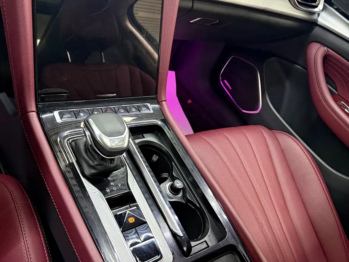 Hongqi H5 2024 1.5T DCT Smart Connect Flag Rhythm Edition фото 10