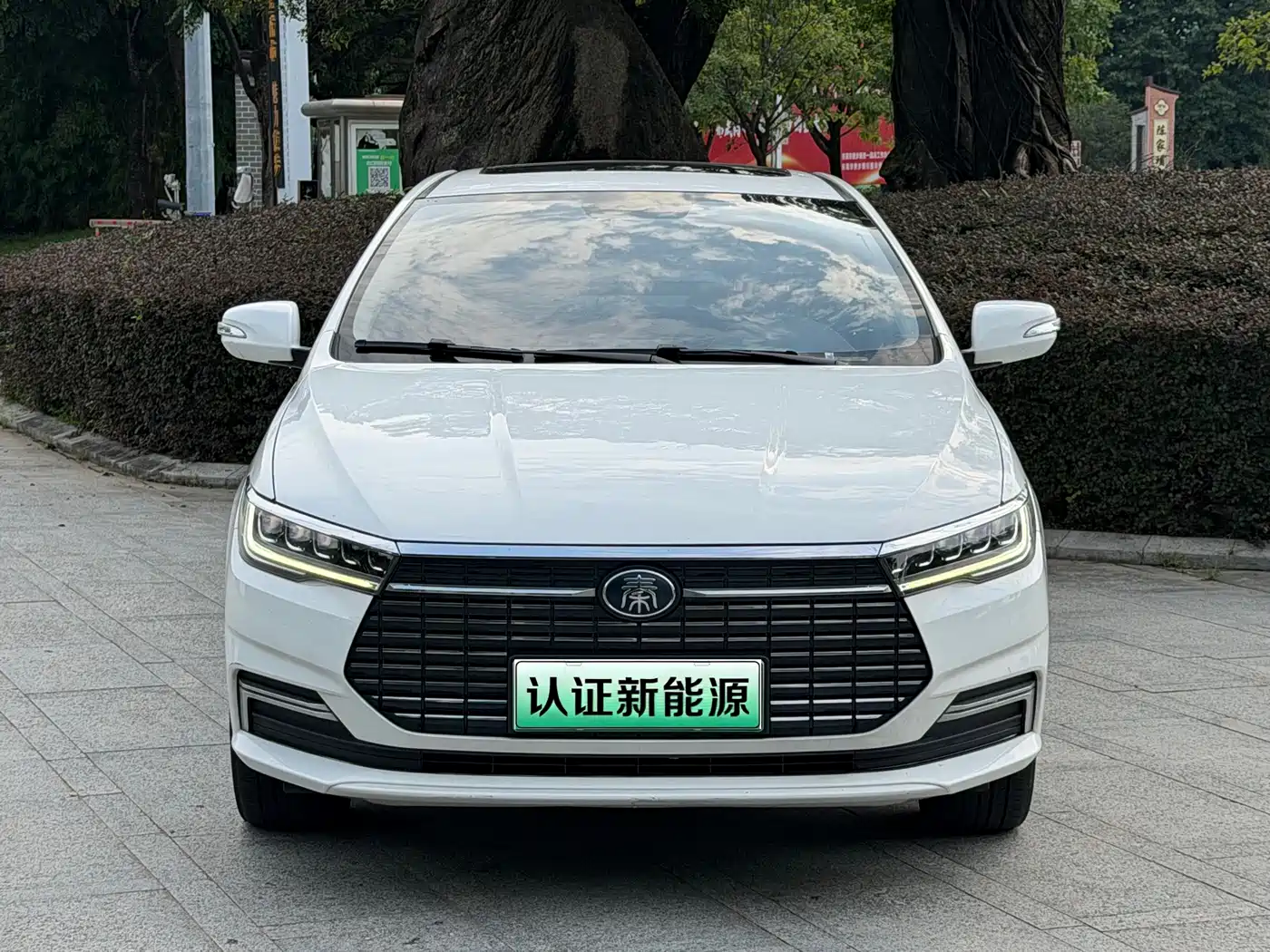 BYD Qin New Energy 2021 2019 Long Range Luxury Edition